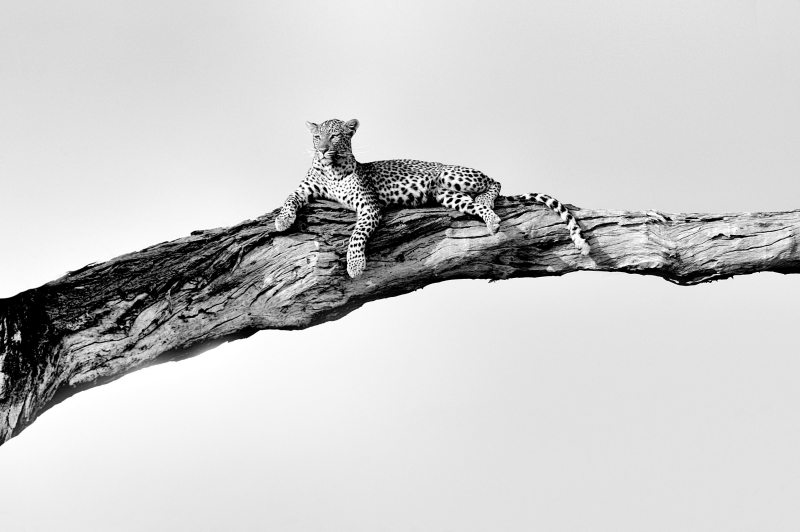 _DSC0502d