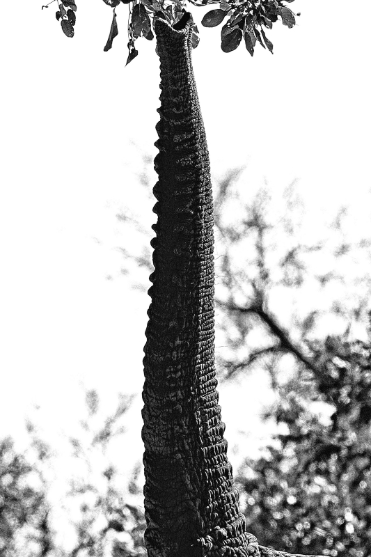 DSC_3382_03